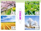 统编版（2024）一年级语文上册课件 第五单元 4 四季