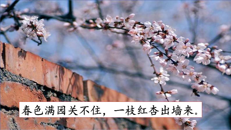 第4课 《花之歌》-2024-2025学年六年级语文上册同步精品课件（统编版）04