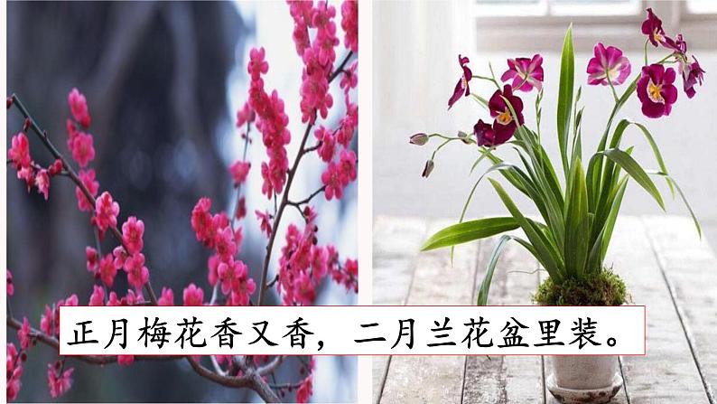 第4课 《花之歌》-2024-2025学年六年级语文上册同步精品课件（统编版）06