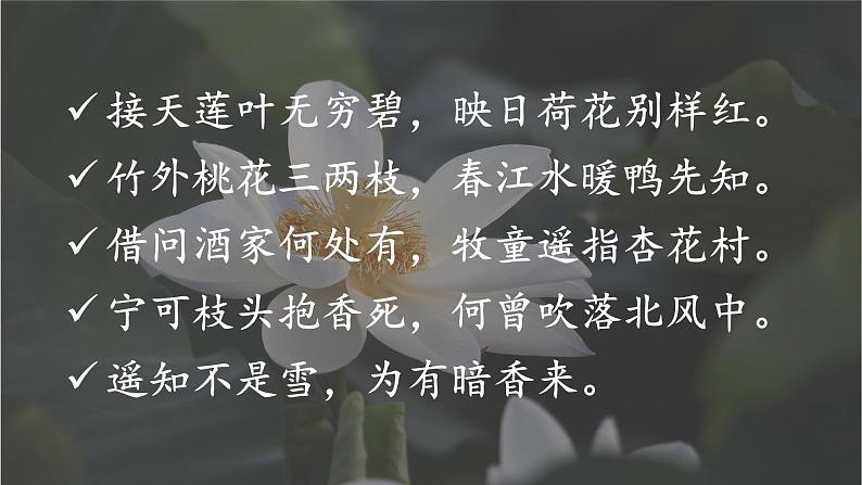 第4课 《花之歌》-2024-2025学年六年级语文上册同步精品课件（统编版）08