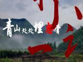 10青山处处埋忠骨 （课件）2023-2024学年统编版语文五年级下册