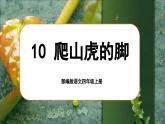 【任务群】部编版语文四上 10《爬山虎的脚》课件+教案+音视频素材+课文朗读