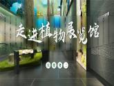 【任务群】部编版语文四上 10《爬山虎的脚》课件+教案+音视频素材+课文朗读