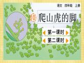部编版小学语文四年级上册第3单元  10  爬山虎的脚 课件PPT