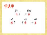 部编版小学语文四年级上册第3单元  10  爬山虎的脚 课件PPT