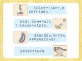 部编版小学语文四年级上册第3单元  习作：写观察日记 课件PPT