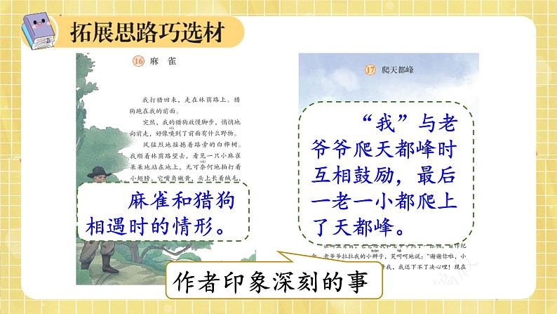 部编版小学语文四年级上册第5单元习作：生活万花筒  课件PPT08