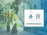 【任务群】部编版语文四上 《语文园地四》课件+教案+音视频素材+课文朗读