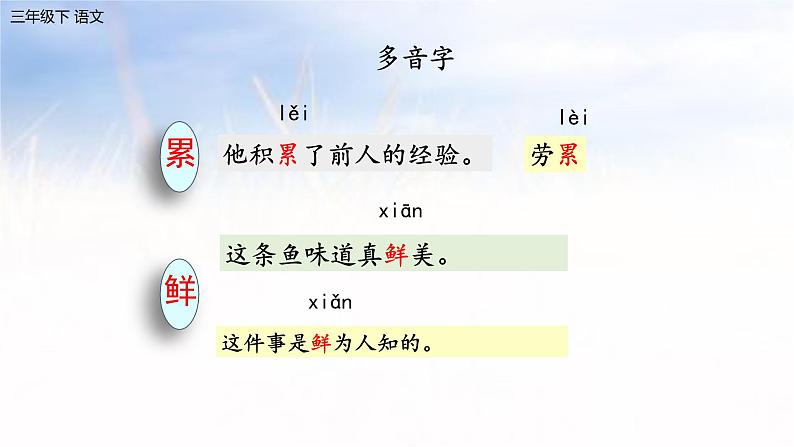 10 纸的发明 课件 语文三年级下册（统编版）05