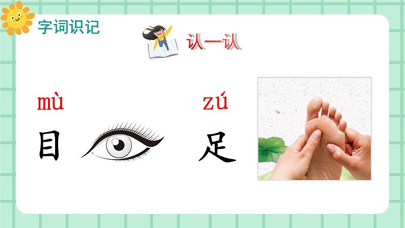 【核心素养】部编版小学语文一年级上册  识字3 口耳目手足  课件+教案（含教学反思） +素材04