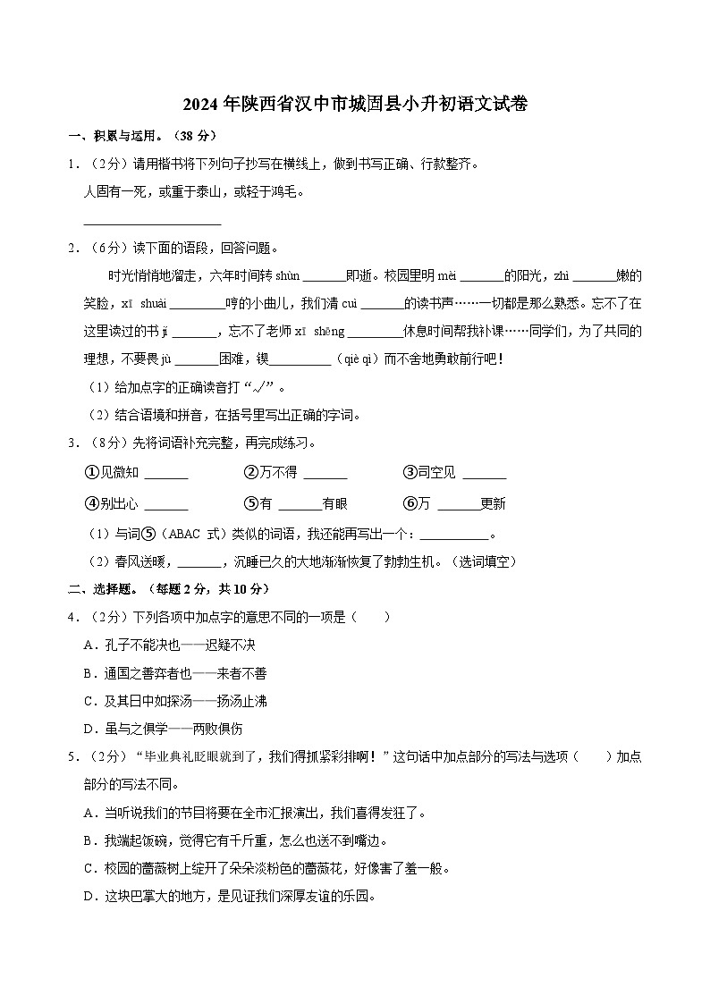 2024年陕西省汉中市城固县小升初语文试卷（含解析）01