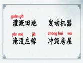 第2课《我是什么》（课件）部编版二年级语文上册