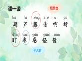 部编版小学语文二上14课《我要的是葫芦》课件+教案+预学单+共学单+延学单