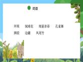 部编版小学语文三上1.大青树下的小学 课件+教案