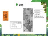 部編版小學(xué)語文三上 第2單元教材內(nèi)容 課件+教案