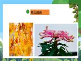 部编版小学语文三上 6.秋天的雨 课件+教案
