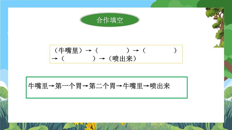 部编版小学语文三上10.在牛肚子里旅行 课件+教案06