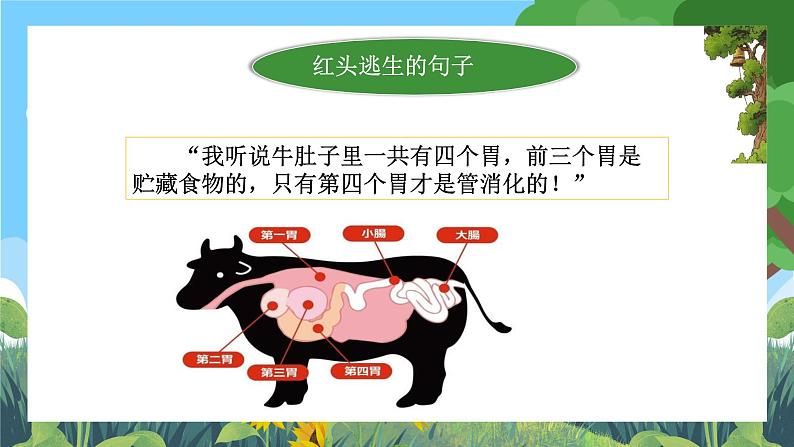 部编版小学语文三上10.在牛肚子里旅行 课件+教案08