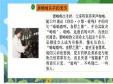 部编版小学语文三上第4单元口语交际：名字里的故事课件+教案
