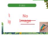 部编版小学语文三上15. 搭船的鸟 课件+教案