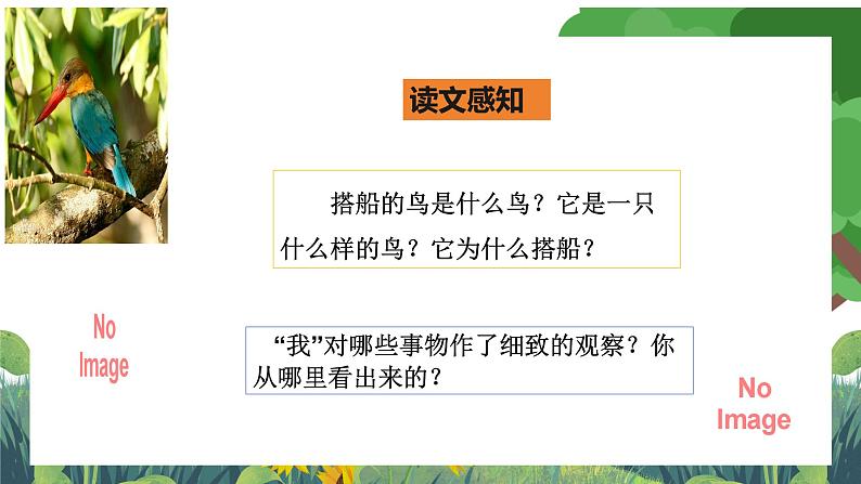 部编版小学语文三上15. 搭船的鸟 课件+教案05