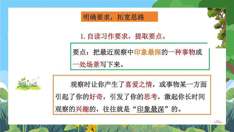 部编版小学语文三上第5单元习作例文与习作 课件+教案07