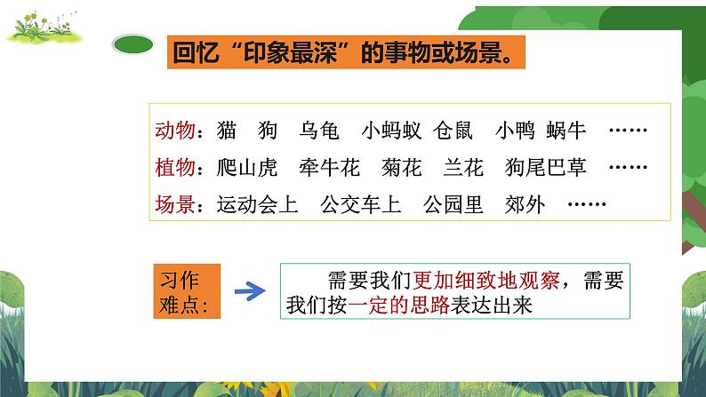 部编版小学语文三上第5单元习作例文与习作 课件+教案08