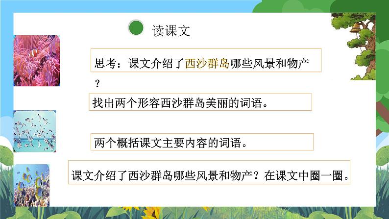 部编版小学语文三上18.富饶的西沙群岛 课件+教案06