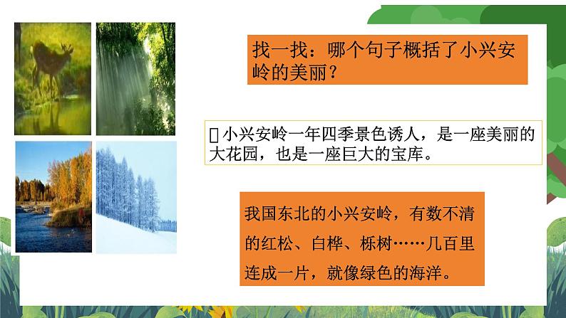 部编版小学语文三上20,美丽的小兴安岭 课件+教案08