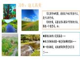 部编版小学语文三上第6单元 习作：这儿真美 课件+教案
