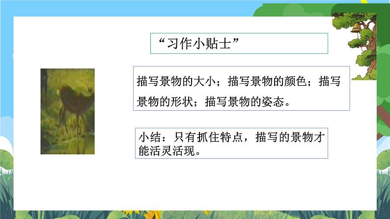 部编版小学语文三上第6单元 习作：这儿真美 课件+教案08