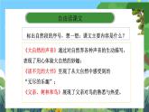 部编版小学语文三上21. 大自然的声音 课件+教案