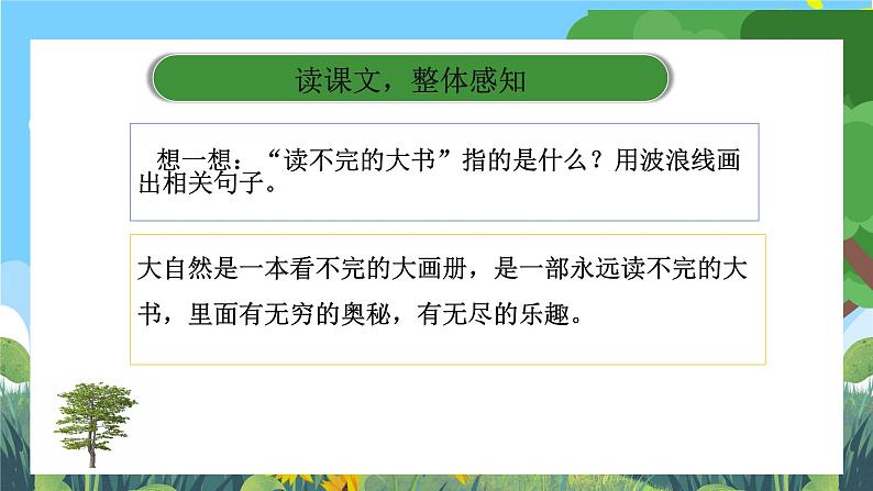 部编版小学语文三上22.读不完的大书 课件+教案05