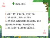 部编版小学语文三上25.灰雀 课件+教案