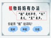 课文（一）3《植物妈妈有办法》（课件）2024-2025学年统编版语文二年级上册