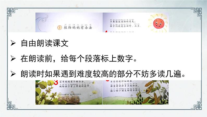 课文（一）3《植物妈妈有办法》（课件）2024-2025学年统编版语文二年级上册04