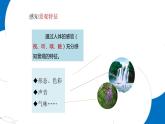 【新课标】部编版小学语文四上第1课《观潮》（第二课时）课件+教案+学习任务单+分层作业