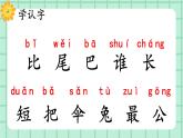 【核心素养】部编版小学语文一年级上册  阅读8 比尾巴 课件+教案（含教学反思） +素材