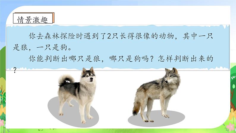 【新课标•任务型】统编版语文一年级上册-阅读8. 比尾巴（课件+教案+学案+习题）08