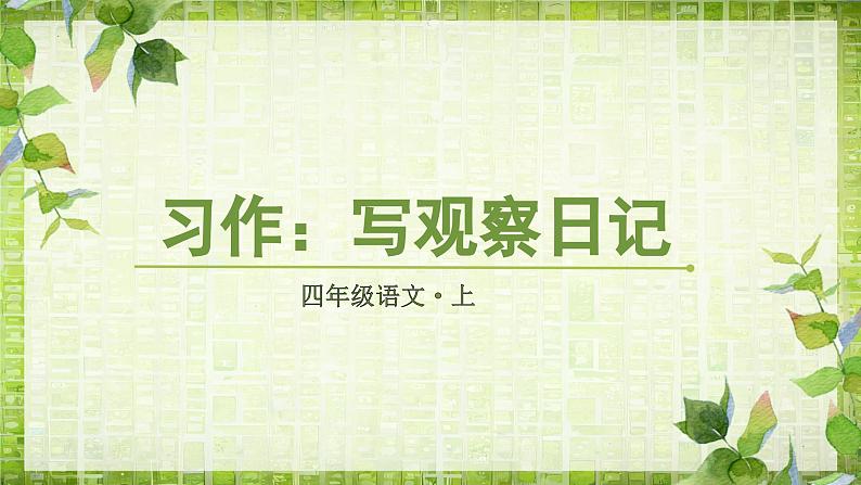 《习作三：写观察日记》（课件）-2024-2025学年统编版语文四年级上册01