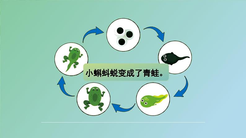 《习作三：写观察日记》（课件）-2024-2025学年统编版语文四年级上册06