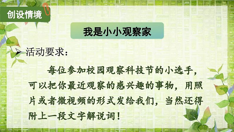 《习作三：写观察日记》（课件）-2024-2025学年统编版语文四年级上册07