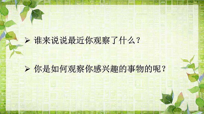 《习作三：写观察日记》（课件）-2024-2025学年统编版语文四年级上册08