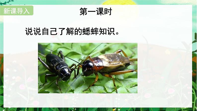 （教学课件）11.《蟋蟀的住宅》第2页