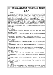 人教部编版二年级上册我是什么学案设计