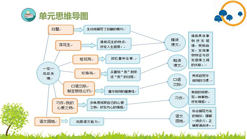 2024--2025年部编版小学语文五年级上册第一单元复习课件04