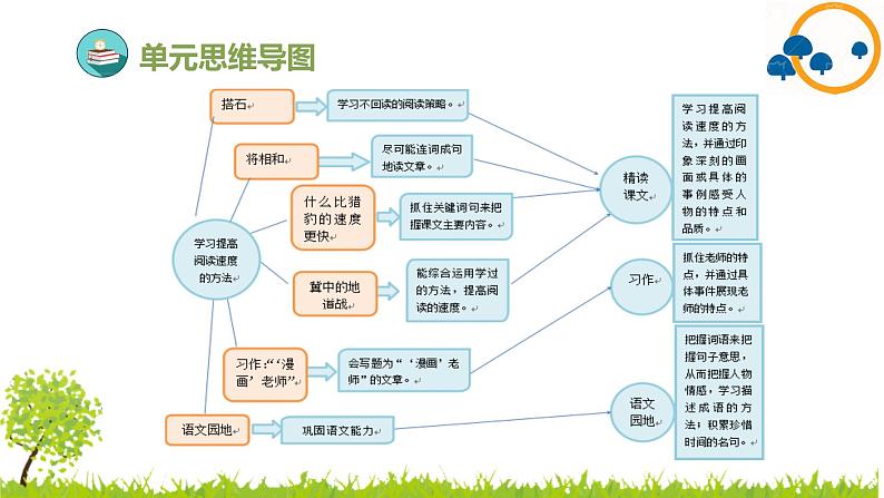 2024--2025年部编版小学语文五年级上册第二单元复习课件04