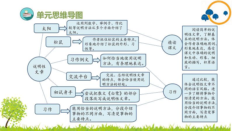 2024--2025年部编版小学语文五年级上册第五单元复习课件04