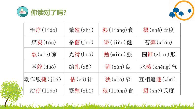 2024--2025年部编版小学语文五年级上册第五单元复习课件07