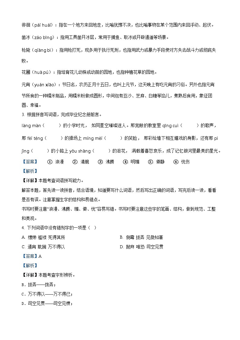 陕西省商洛市山阳县2024年统编版小升初考试语文试卷（原卷版+解析版）03